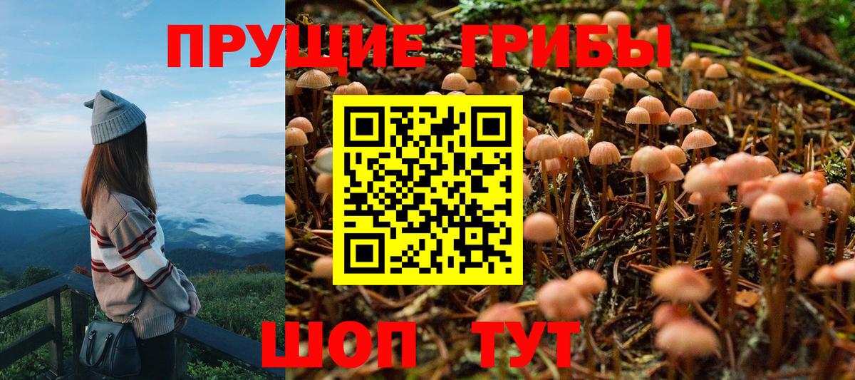 Псилоцибиновые грибы ЛСД Моршанск